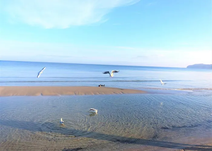 Agnes Mit Meerblick-loggia In Lage Am - Dünengras *